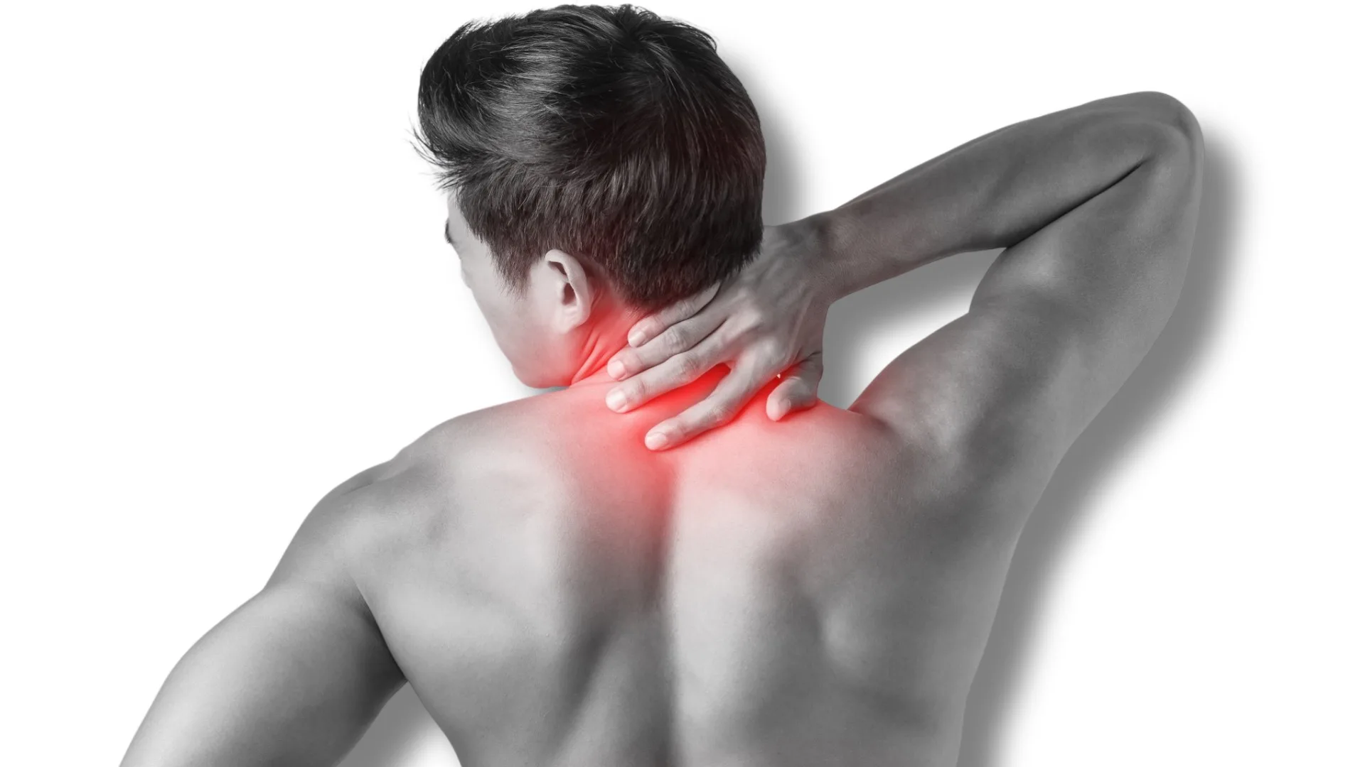 What Is the Trapezius Muscle