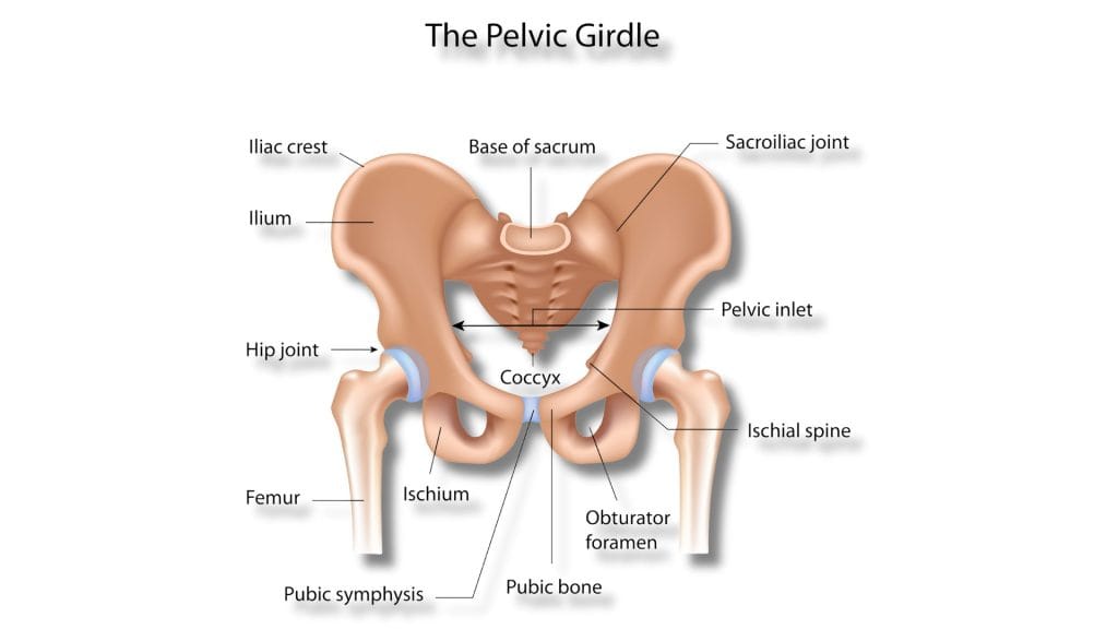 Why You Should Not Ignore Pelvic Floor Dysfunction - ANF
