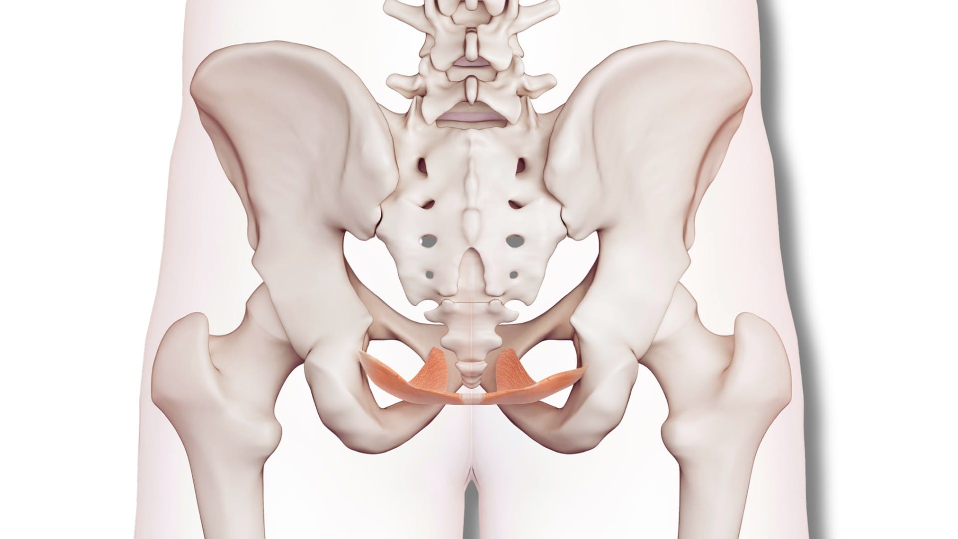 Pelvic Floor Dysfunction