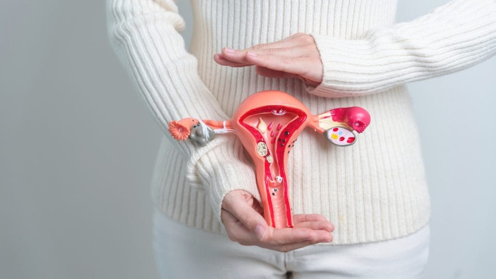 Can Pelvic Floor Dysfunction Cause Endometriosis