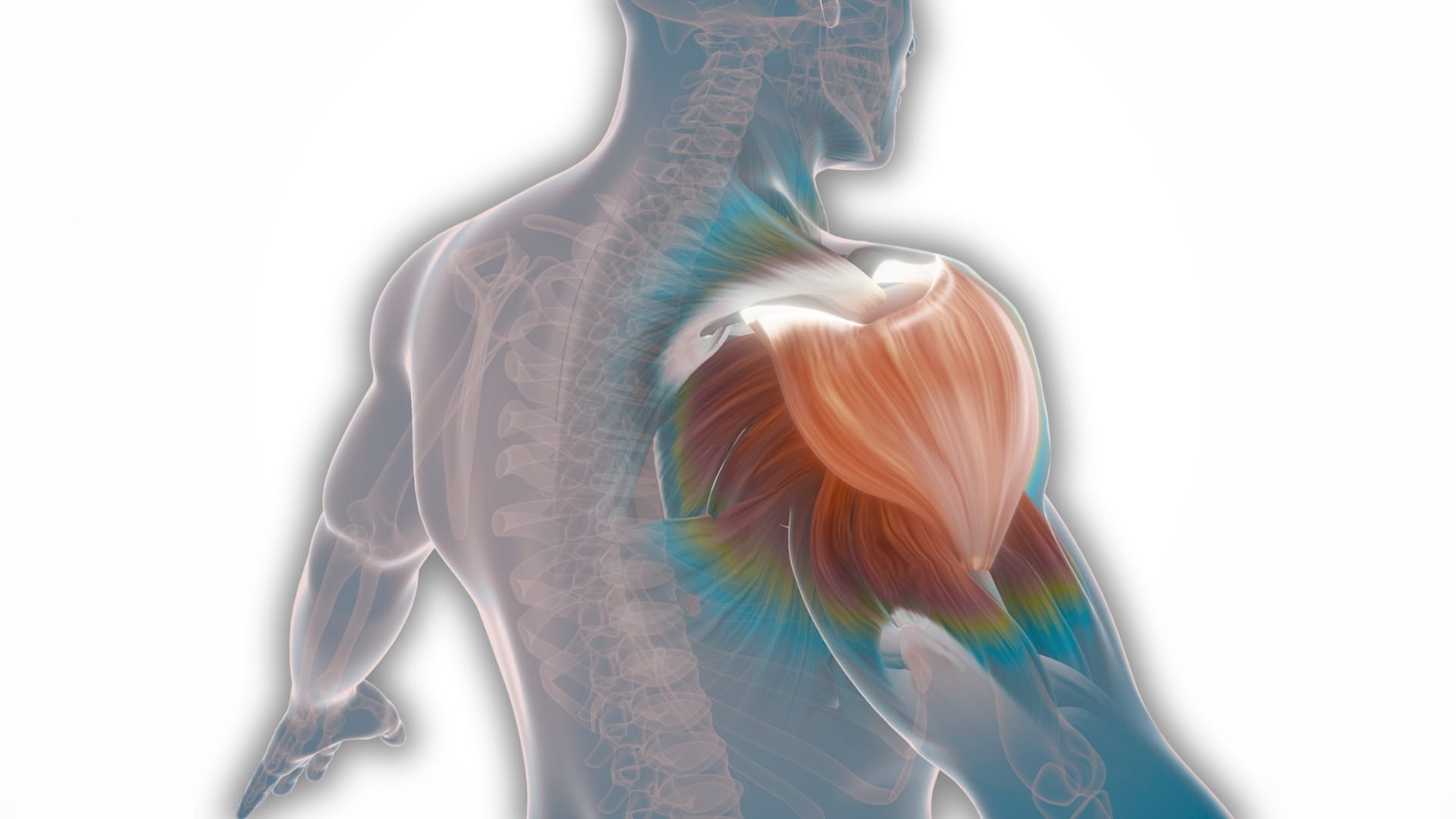 femoral nerve pain treatment