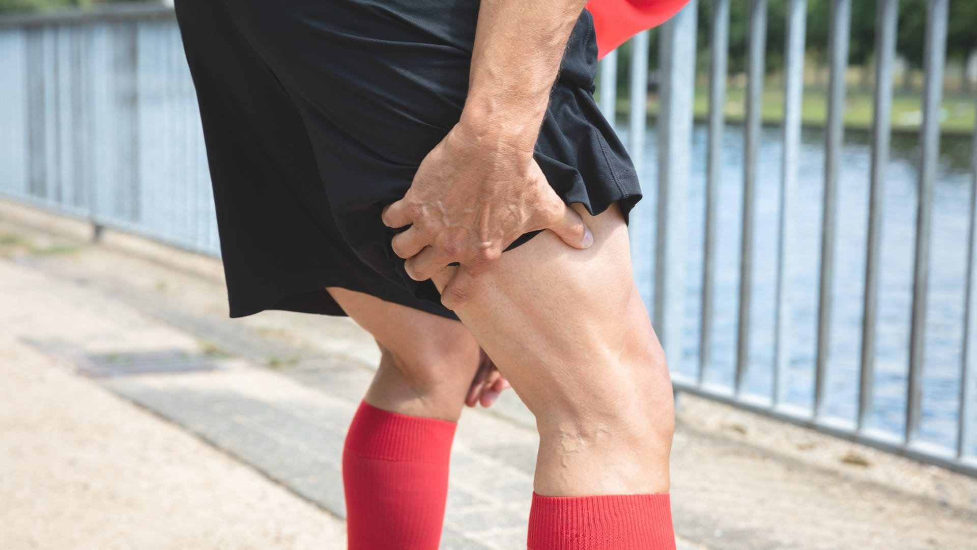 What is Semitendinosus Tendinopathy